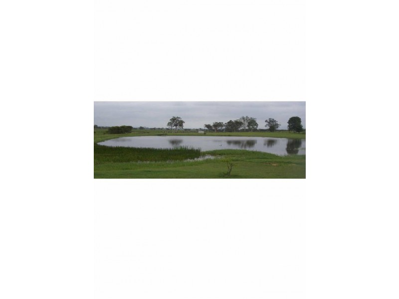 210 Old Dyraaba Rd, Woodview NSW 2470