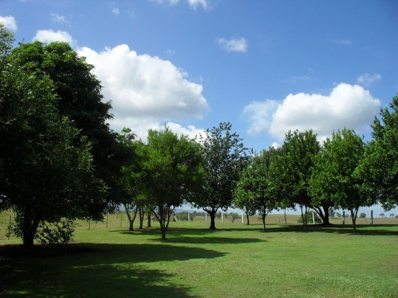 918 Knights Rd – Dyraaba, Casino NSW 2470