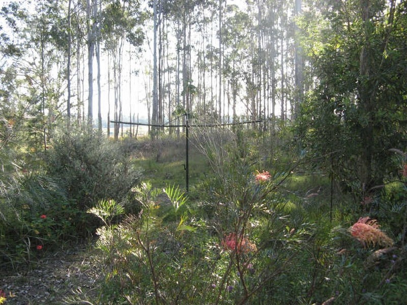 847 Mongogarie Road, Leeville NSW 2470