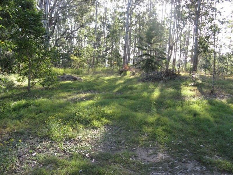 847 Mongogarie Road, Leeville NSW 2470