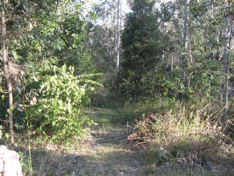 847 Mongogarie Road, Leeville NSW 2470