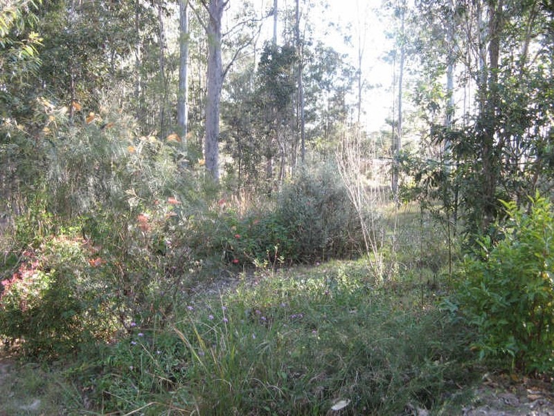 847 Mongogarie Road, Leeville NSW 2470