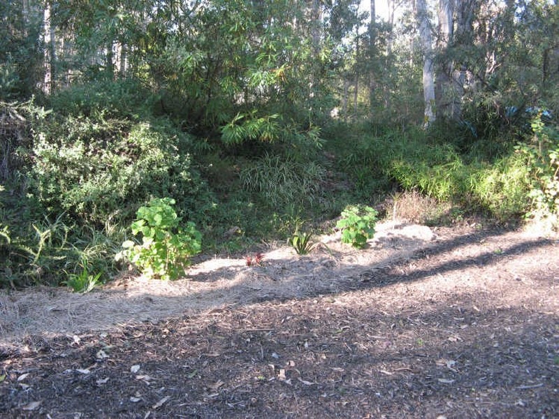 847 Mongogarie Road, Leeville NSW 2470