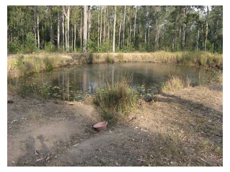 Ellangowan NSW 2470