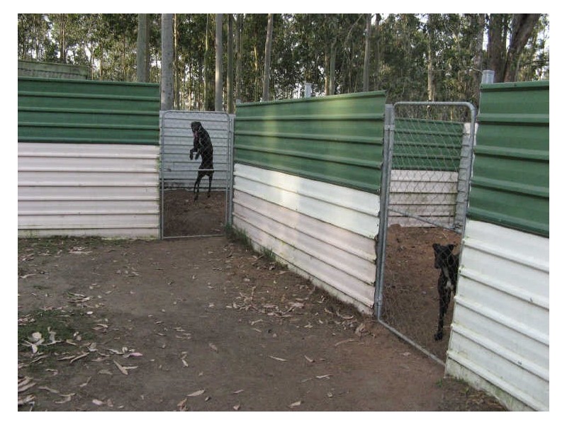 Ellangowan NSW 2470