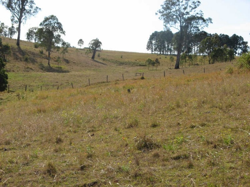 Dyraaba NSW 2470