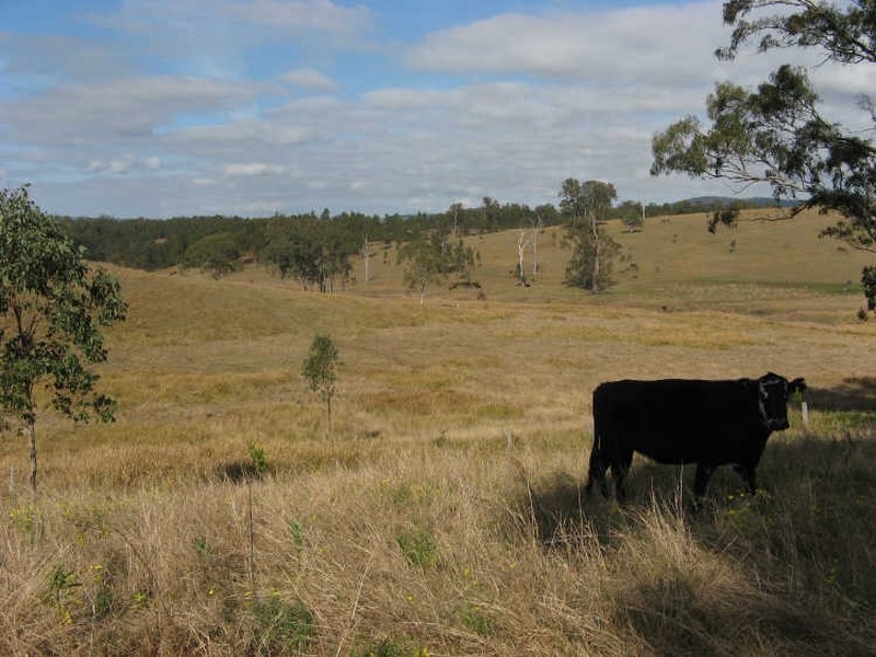 Dyraaba NSW 2470