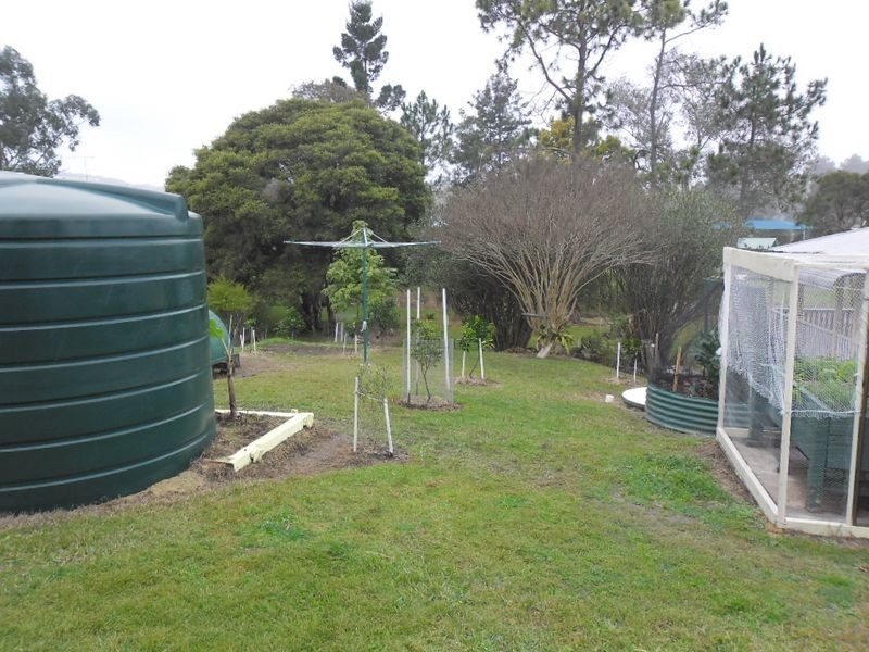 50 Sandilands Street, Mallanganee NSW 2469