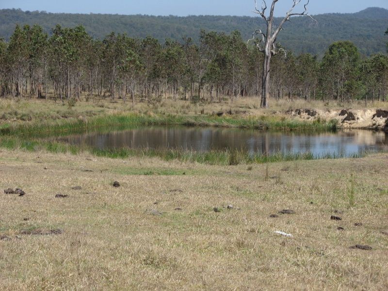 Tabulam NSW 2469