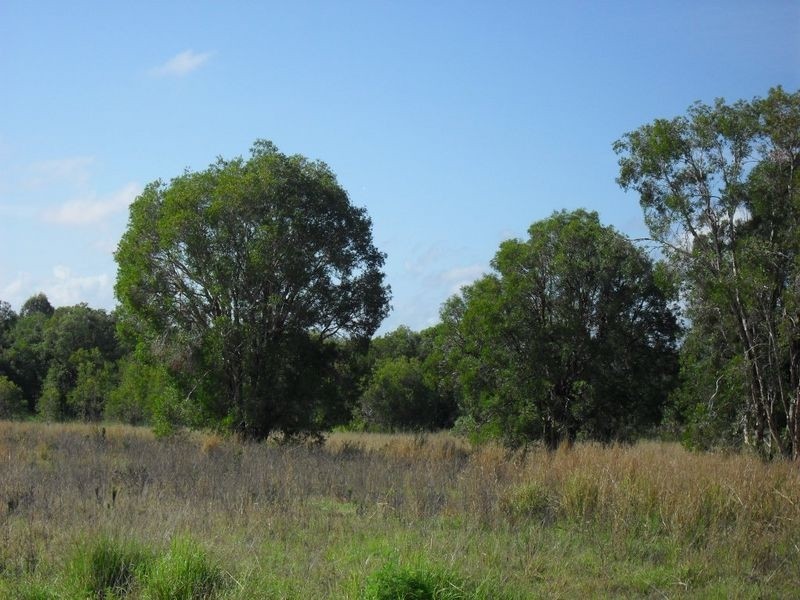 Lot 107 Tareeda Court, Casino NSW 2470