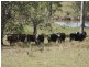 Tabulam NSW 2469