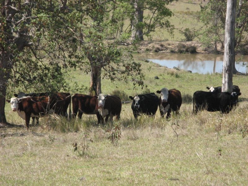 Tabulam NSW 2469