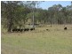 Tabulam NSW 2469