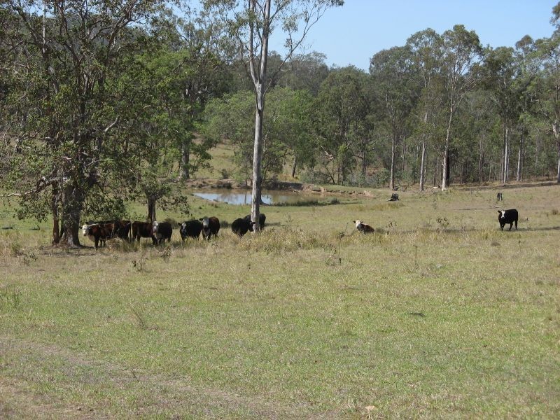 Tabulam NSW 2469