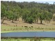 Tabulam NSW 2469