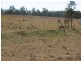 Tabulam NSW 2469