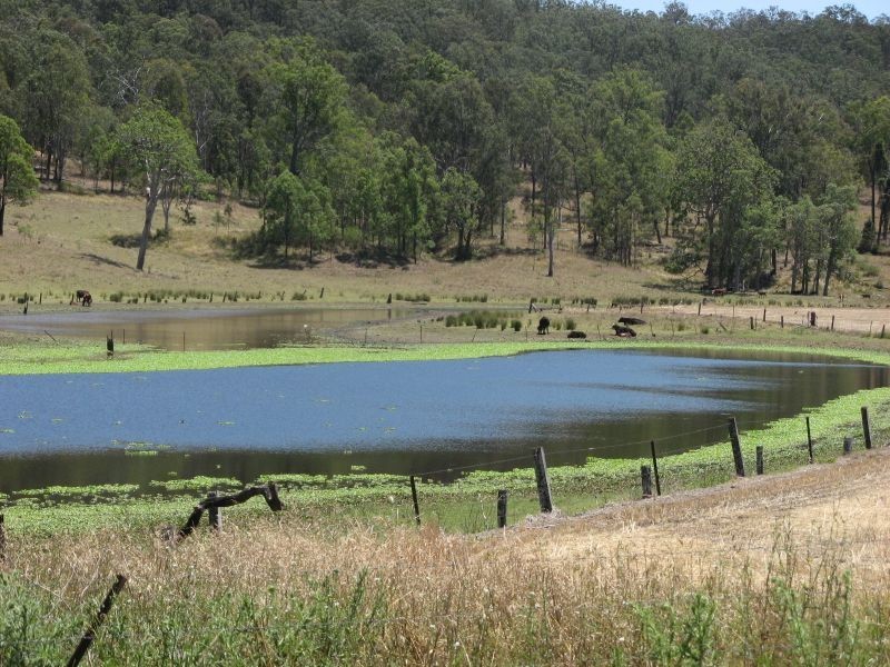 Tabulam NSW 2469