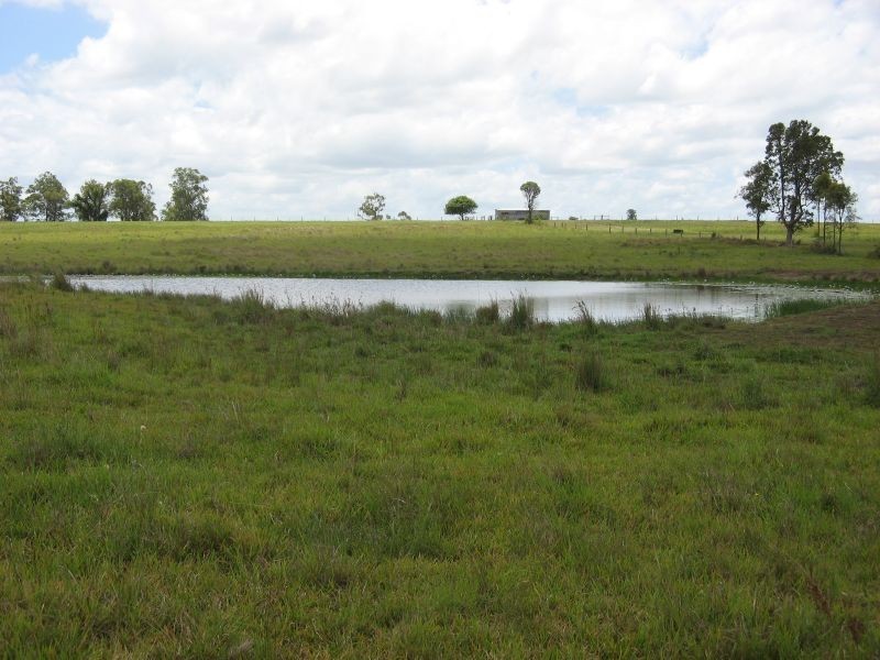 Codrington NSW 2471
