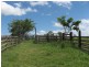 Codrington NSW 2471