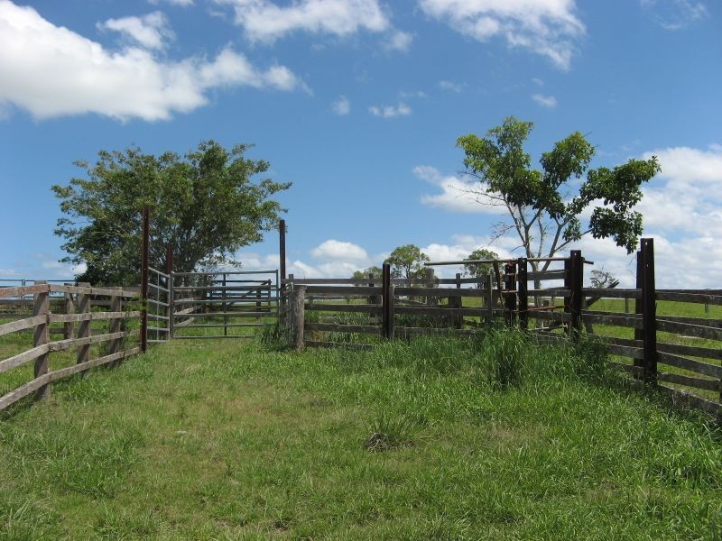 Codrington NSW 2471