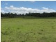 Codrington NSW 2471