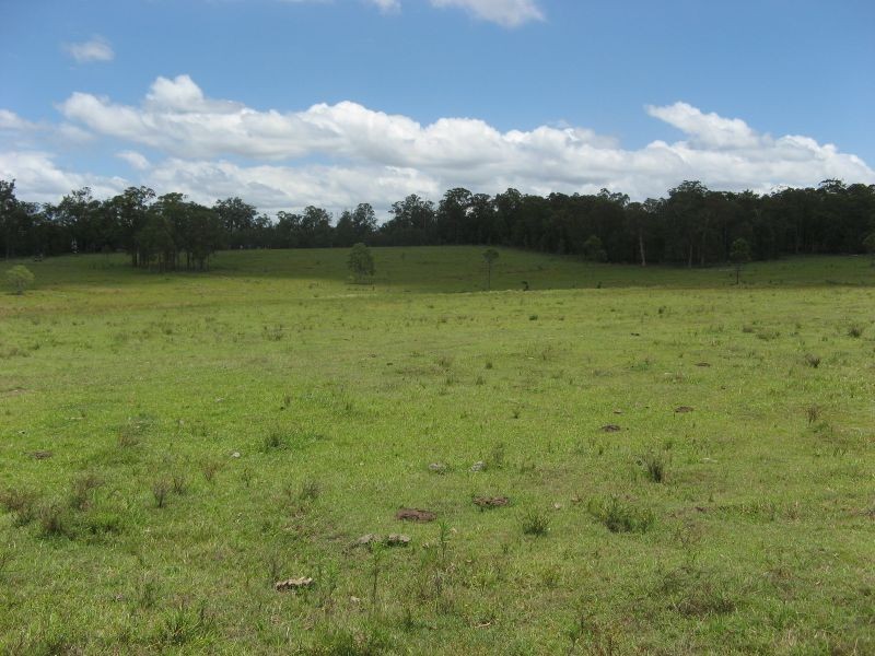 Codrington NSW 2471