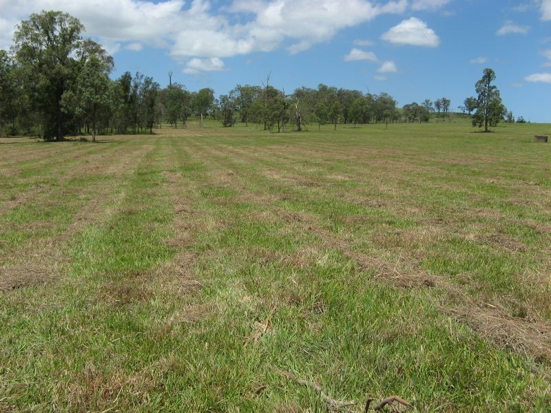 Codrington NSW 2471