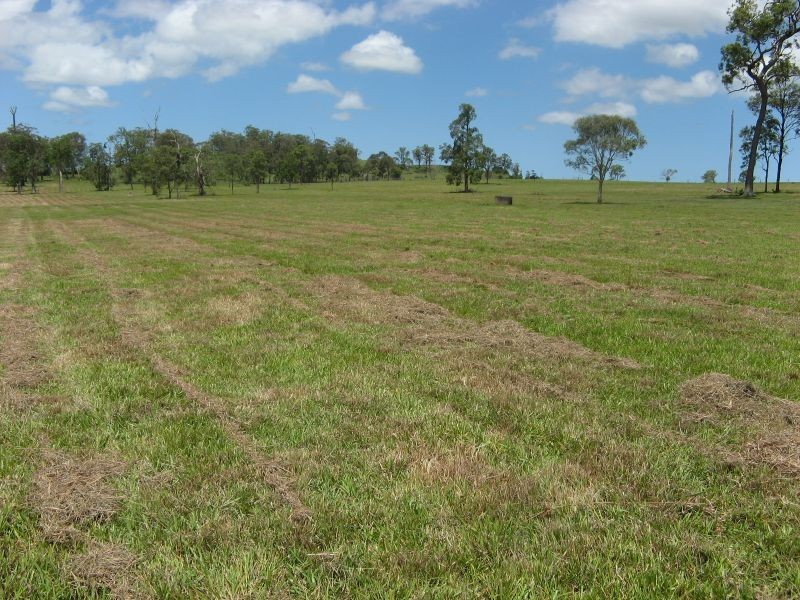 Codrington NSW 2471