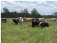 Codrington NSW 2471