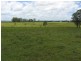 Codrington NSW 2471