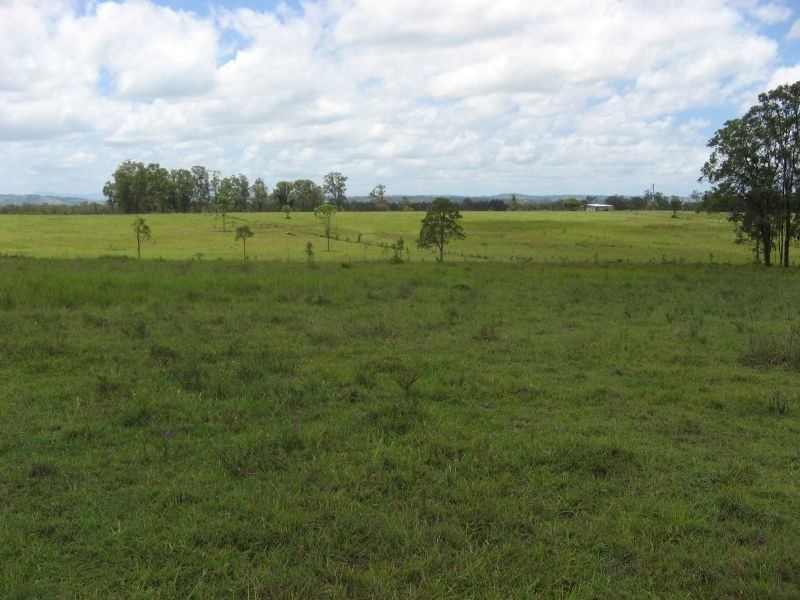 Codrington NSW 2471