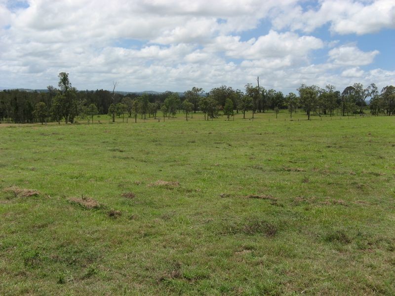 Codrington NSW 2471