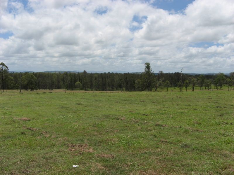 Codrington NSW 2471