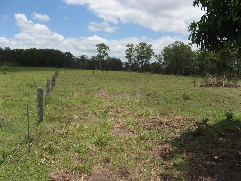 Codrington NSW 2471