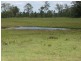 Codrington NSW 2471