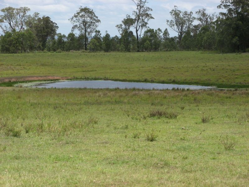 Codrington NSW 2471