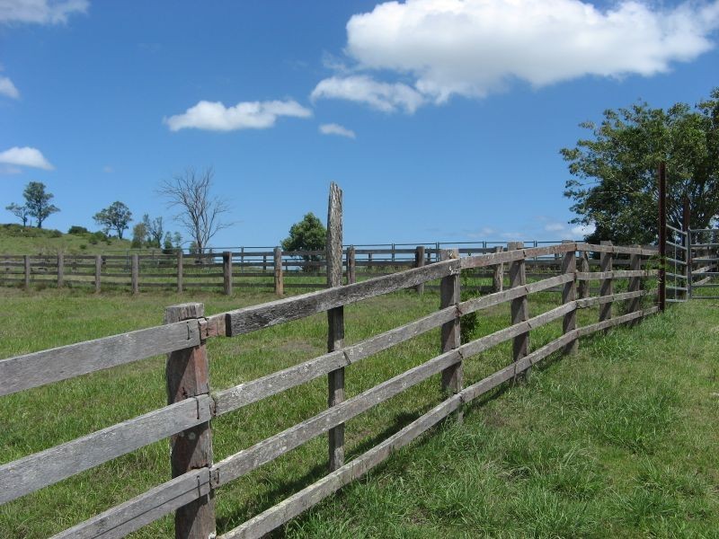 Codrington NSW 2471