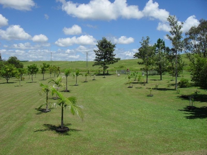 318 Upper Stratheden Road, Stratheden NSW 2470