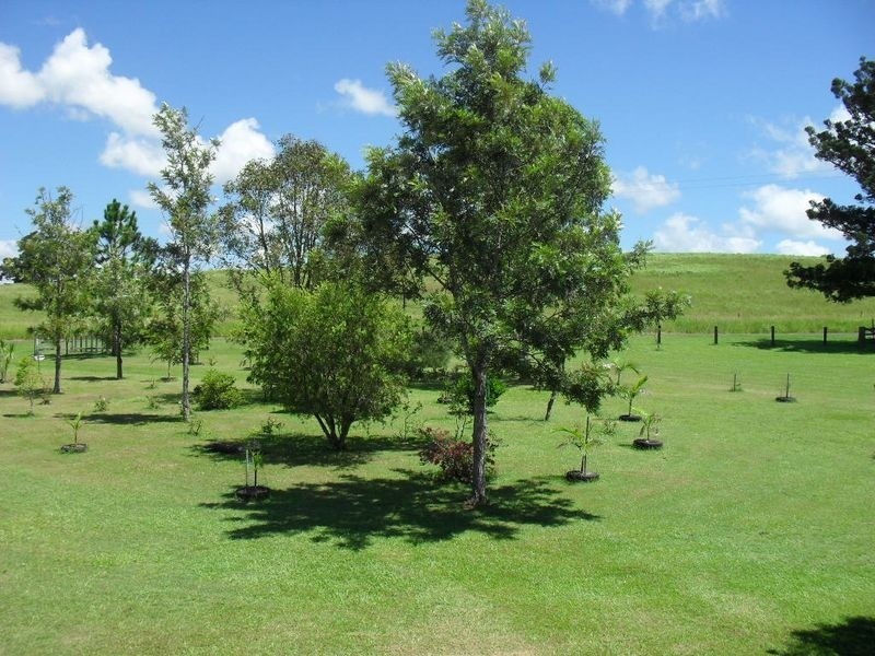 318 Upper Stratheden Road, Stratheden NSW 2470