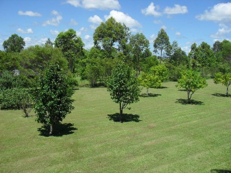 318 Upper Stratheden Road, Stratheden NSW 2470