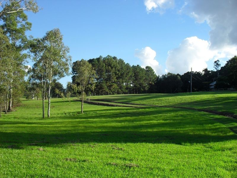 157 Theresa Creek Road, Casino NSW 2470