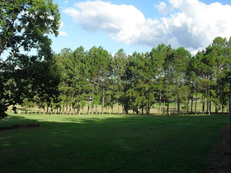 157 Theresa Creek Road, Casino NSW 2470