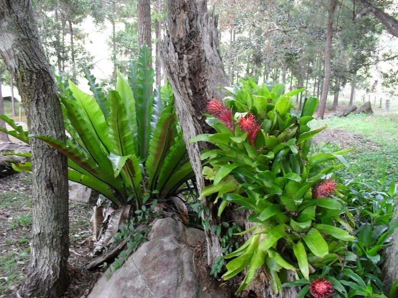 157 Theresa Creek Road, Casino NSW 2470