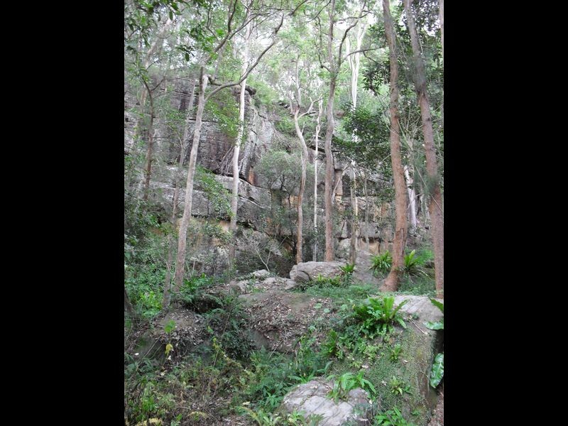 157 Theresa Creek Road, Casino NSW 2470