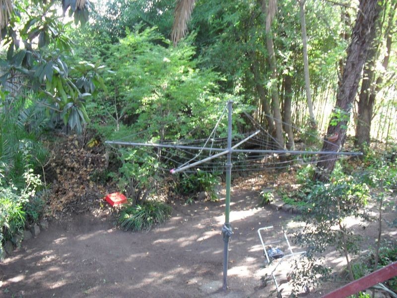 43 Woodenbong Road, Bonalbo NSW 2469