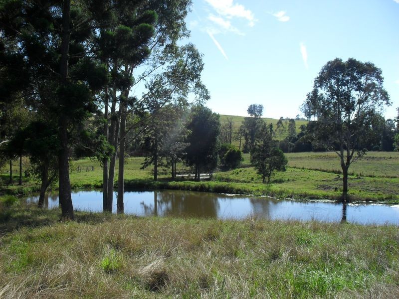 704 Larssons Road, Casino NSW 2470