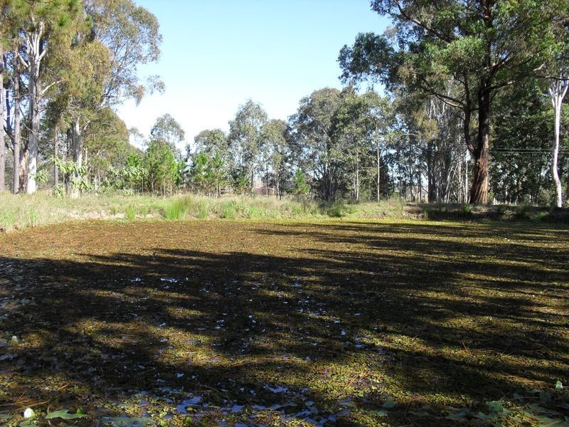 704 Larssons Road, Casino NSW 2470