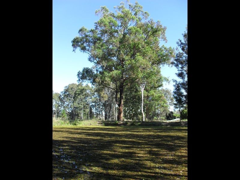 704 Larssons Road, Casino NSW 2470