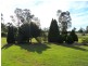 666 Fogwells Road, Yorklea NSW 2470