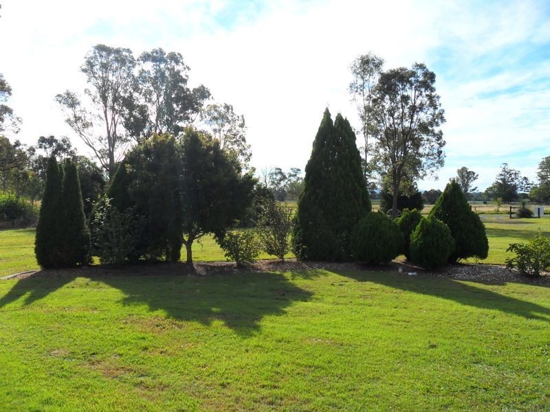 666 Fogwells Road, Yorklea NSW 2470